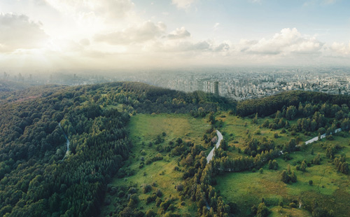 GA黄金甲·(中国区)官方网站