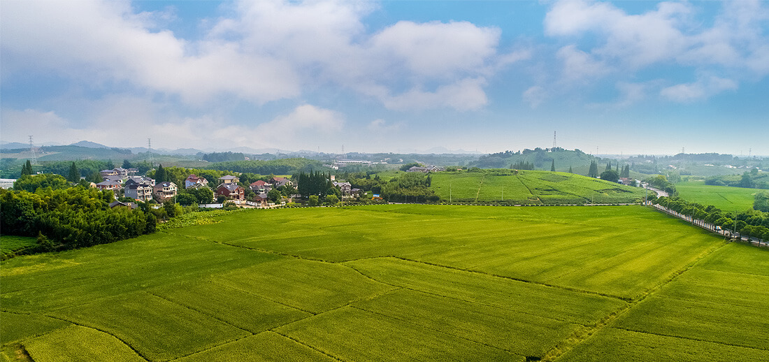 813707e0e4144e2aae8c26284665e695